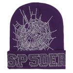 Sp5der Web Rhinestone Web Beanie Purple