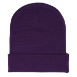 Sp5der Web Rhinestone Web Beanie Purple